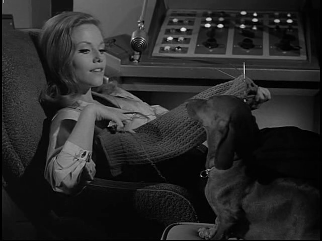 image of Heather McNabb, knitting a sweater for her dog, in UNCLE comms