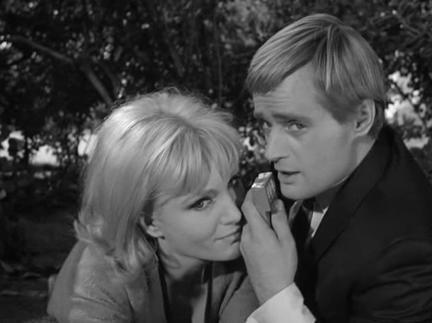 image of Susan Oliver and David McCallum