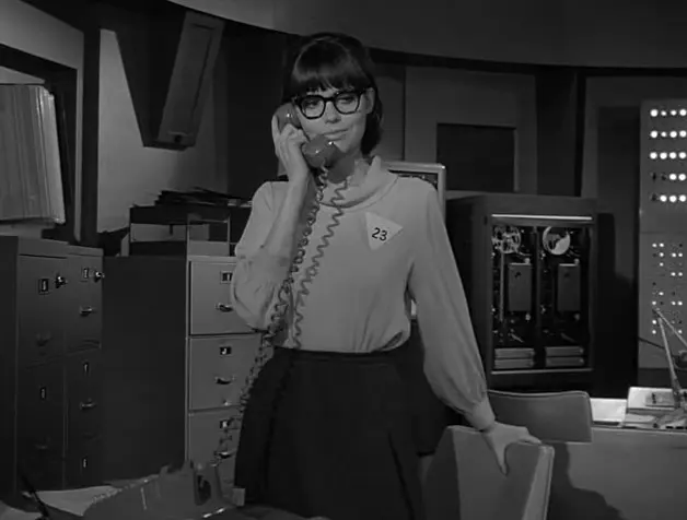 Barbara Feldon